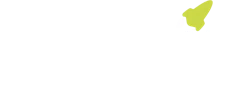Qantta